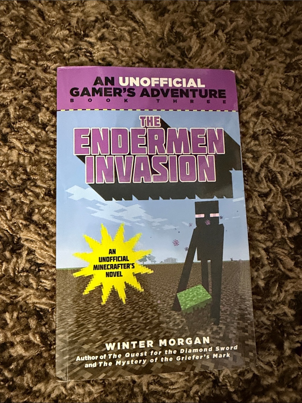 Minecraft Kids Book Set – Assorted Color Covers - Picture 4 of 8